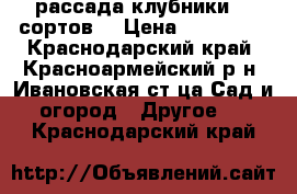 рассада клубники 20 сортов  › Цена ­ 101 520 - Краснодарский край, Красноармейский р-н, Ивановская ст-ца Сад и огород » Другое   . Краснодарский край